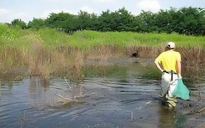 Sito Natura Stagno dei Tre Comuni