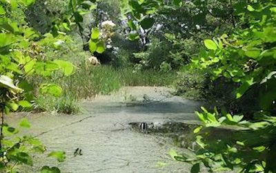 Sito Natura Cascina Bellezza