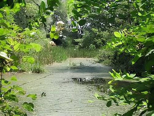 Sito Natura Cascina Bellezza