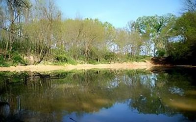 Sito Natura Tetti Elia