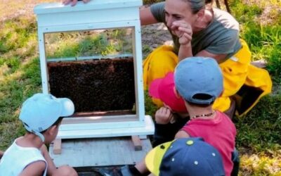 Le api, un superorganismo