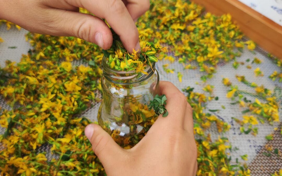 Botanici per un giorno