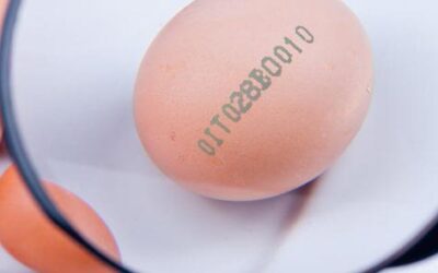 Consumo e consapevolezza