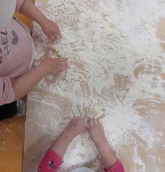 Farina del mio sacco