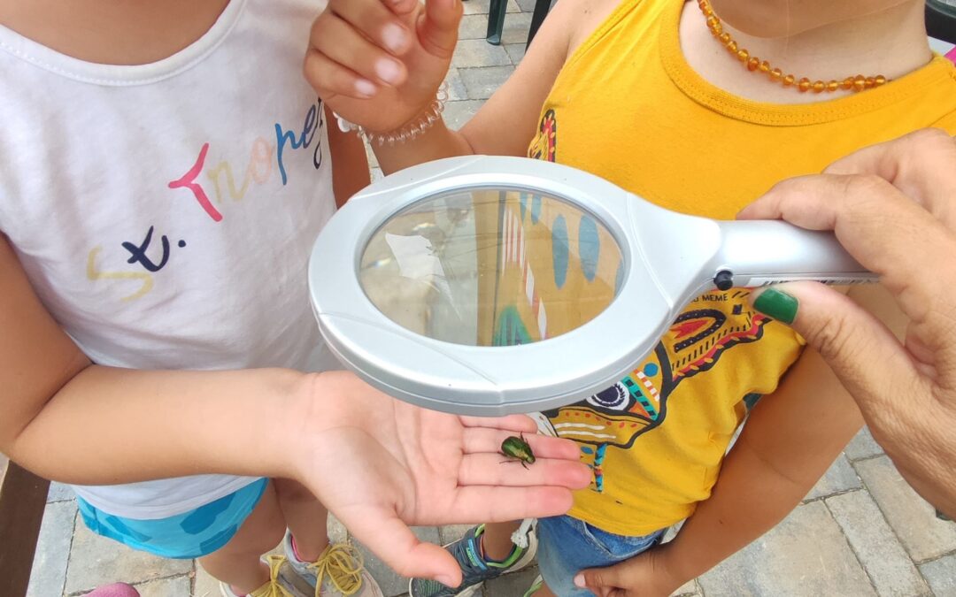 La vita in miniatura